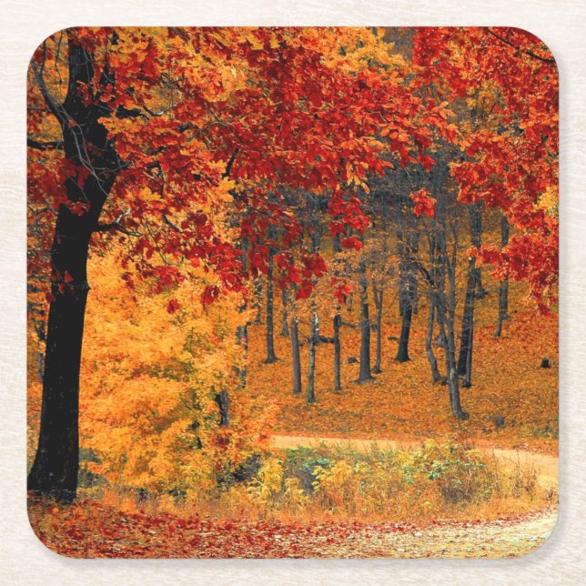 Posavasos Cuadrado De Papel Autumn Road (Anverso)