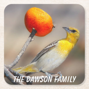 Posavasos Cuadrado De Papel Ave silvestre de cierre