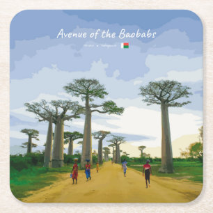 Posavasos Cuadrado De Papel Avenida de los Baobabs, Madagascar - Paisaje