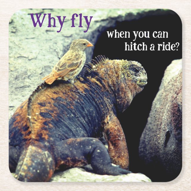 Posavasos Cuadrado De Papel Aves e Iguana marina (Anverso)