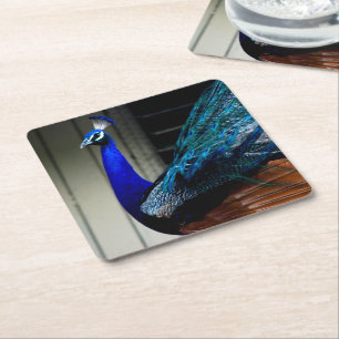 Posavasos Cuadrado De Papel Azul Peacock