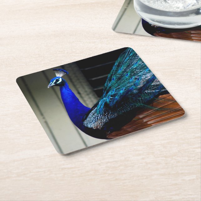 Posavasos Cuadrado De Papel Azul Peacock (En perspectiva)