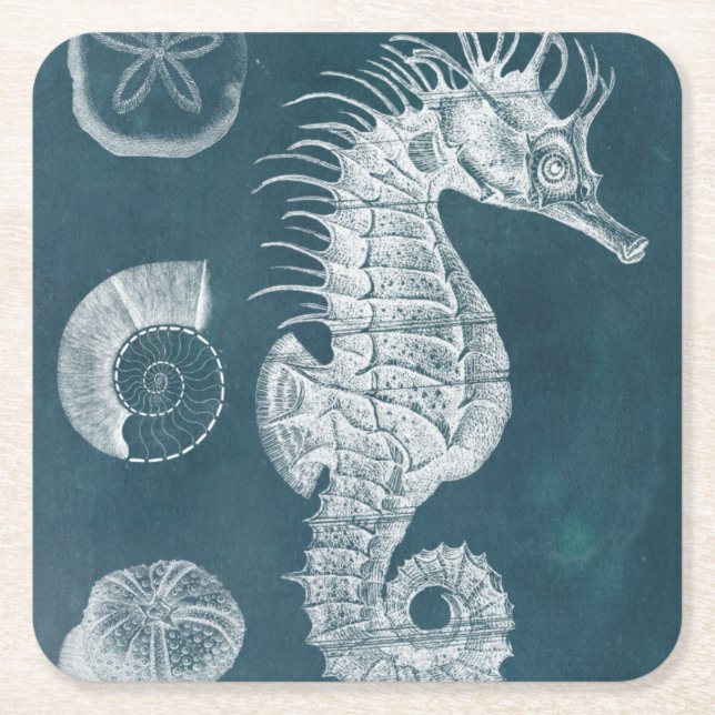 Posavasos Cuadrado De Papel Azure Seahorse Study I (Anverso)