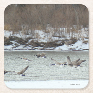 Posavasos Cuadrado De Papel B7 Geese canadiense sobre río invernal