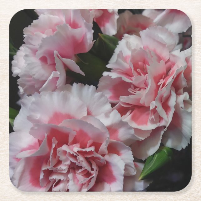 Posavasos Cuadrado De Papel Baby Carnations (Anverso)