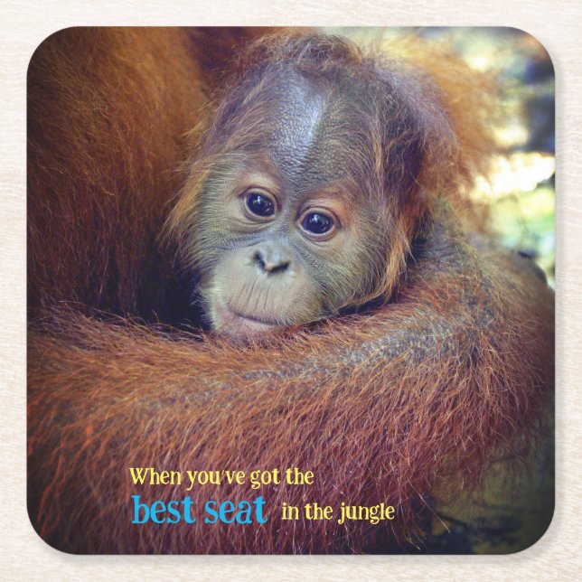 Posavasos Cuadrado De Papel Baby Orangutan (Anverso)