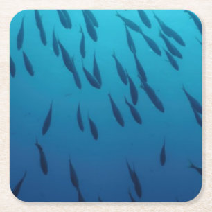 Posavasos Cuadrado De Papel Bajío de pescados