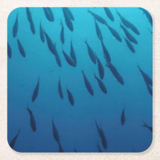 Posavasos Cuadrado De Papel Bajío de pescados