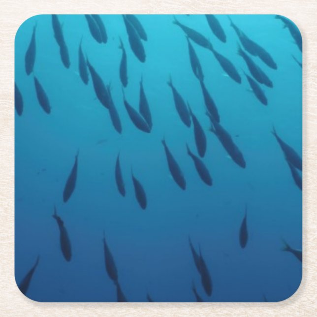 Posavasos Cuadrado De Papel Bajío de pescados (Anverso)