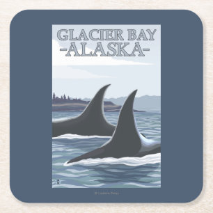 Posavasos Cuadrado De Papel Ballenas #1 - Glacier Bay, Alaska de la orca