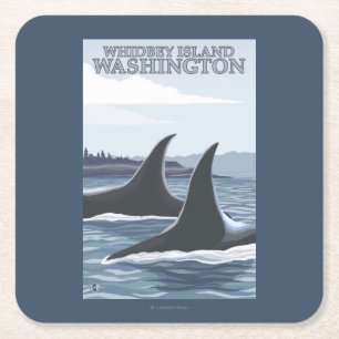 Posavasos Cuadrado De Papel Ballenas #1 - Whidbey, Washington de la orca