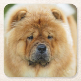 Posavasos Cuadrado De Papel Bamba Chow