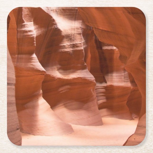 Posavasos Cuadrado De Papel Barranco del antílope, naturalmente Lit (Anverso)