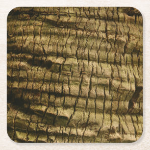 Posavasos Cuadrado De Papel Barrera de árbol de palmas