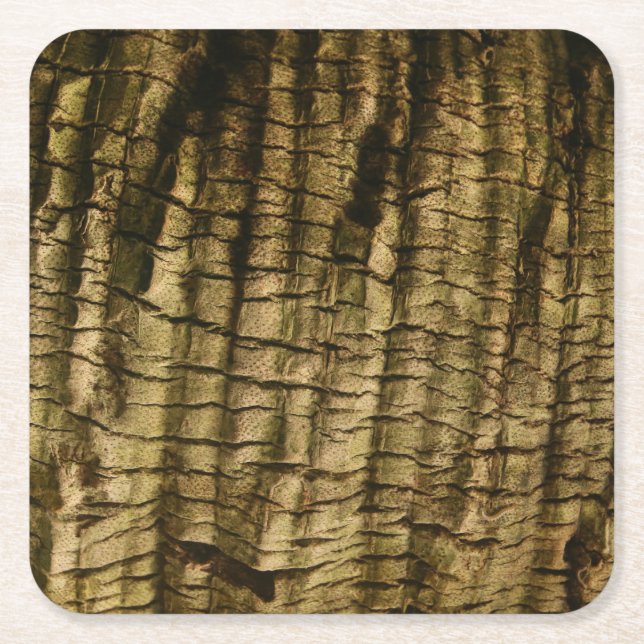 Posavasos Cuadrado De Papel Barrera de árbol de palmas (Anverso)