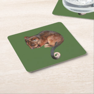 Posavasos Cuadrado De Papel Bebé Adorable Ringtail Possum en Australia