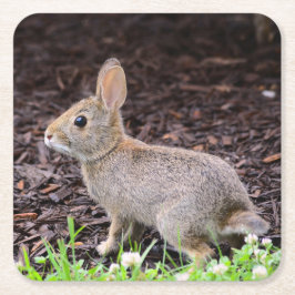 Posavasos Cuadrado De Papel Bebé Bunny Coaster