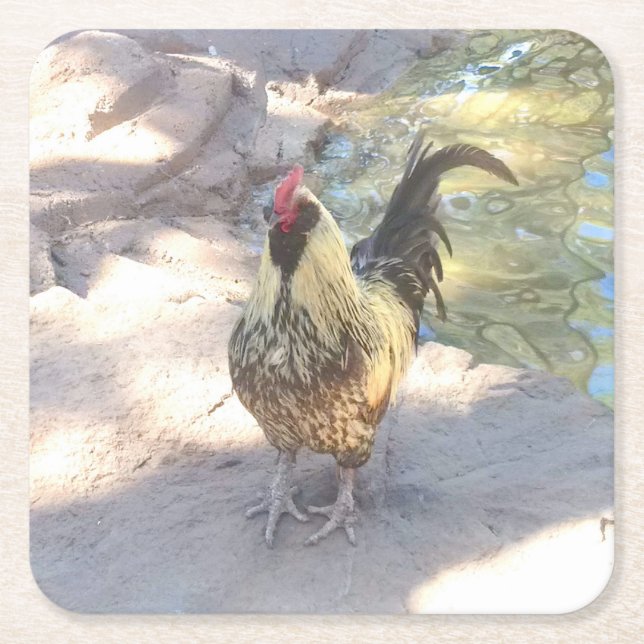Posavasos Cuadrado De Papel Beber de gallo (Anverso)