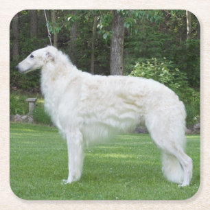 Posavasos Cuadrado De Papel Bella Borzoi