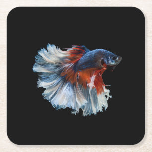 Posavasos Cuadrado De Papel Bella pescadería Betta Siamesa