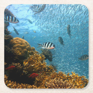 Posavasos Cuadrado De Papel Belleza subacuática, peces y corales