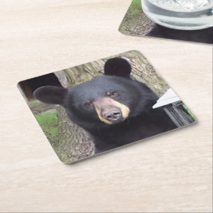 Posavasos Cuadrado De Papel Bello oso negro