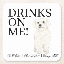 Posavasos Cuadrado De Papel Bichon, boloñés, hispano, Boda maltés