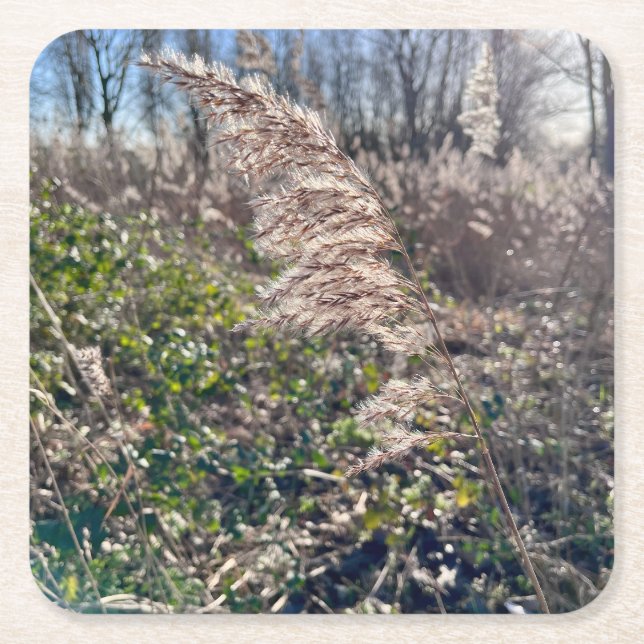 Posavasos Cuadrado De Papel Bienvenida de otoño. (Anverso)