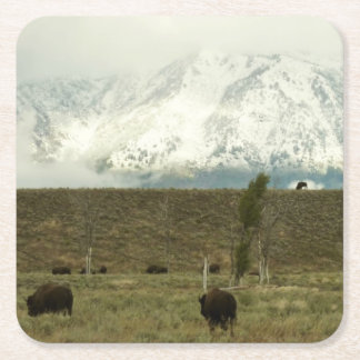 Posavasos Cuadrado De Papel Bison en la fotografía del parque nacional del Gra