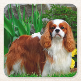 Posavasos Cuadrado De Papel Blenheim Cavalier King Charles Spaniel Perro Cacho