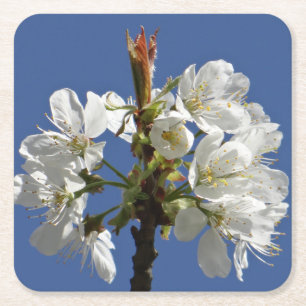 Posavasos Cuadrado De Papel Bloom de Primavera Blanca