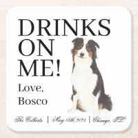 Boda Aussie Australian Shepherd