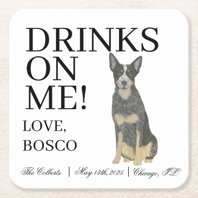 Posavasos Cuadrado De Papel Boda Heeler Dog de Blue Australian (Anverso)