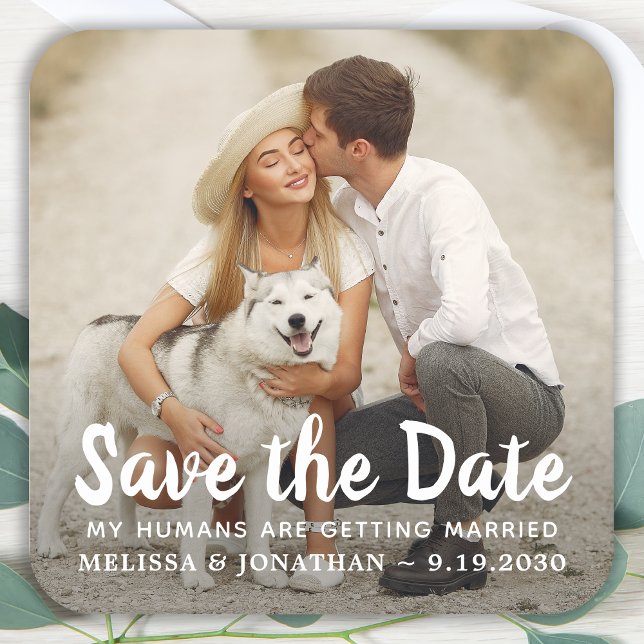 Posavasos Cuadrado De Papel Boda Perro Personalizado Mascota Foto Pareja Guard (Subido por el creador)