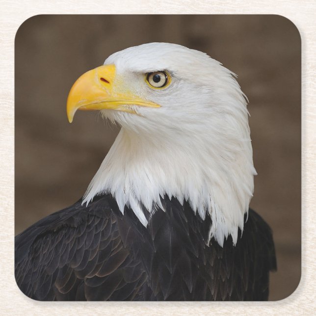 Posavasos Cuadrado De Papel Bonito conjunto de espuma de águila (Anverso)