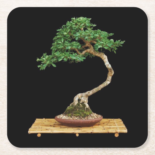 Posavasos Cuadrado De Papel Bonito conjunto de montaña de árbol Bonsai (Anverso)