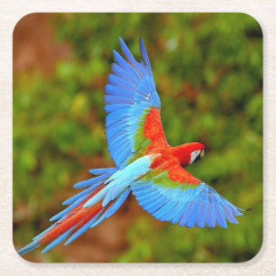 Posavasos Cuadrado De Papel Bonito conjunto de montaña rusa