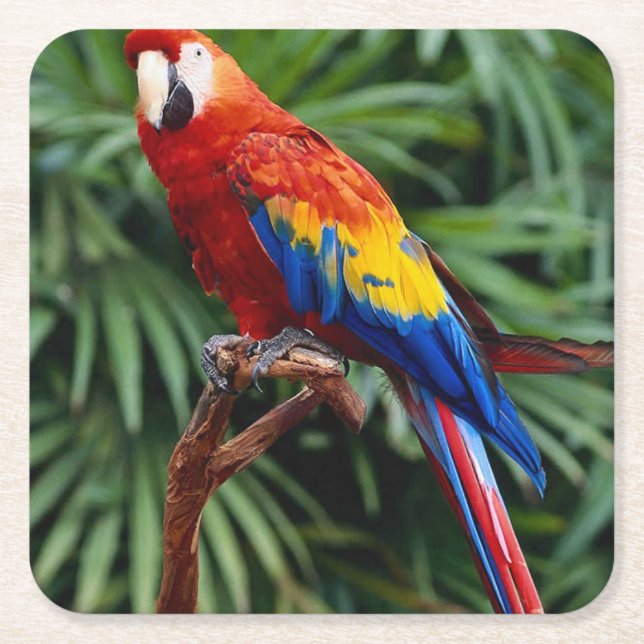 Posavasos Cuadrado De Papel Bonito conjunto de montaña rusa (Anverso)