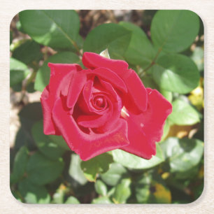 Posavasos Cuadrado De Papel Bonito conjunto de montaña rusa de rosa roja