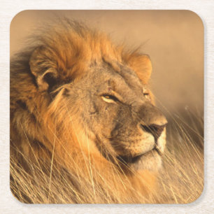 Posavasos Cuadrado De Papel Bonito conjunto de montaña salvaje