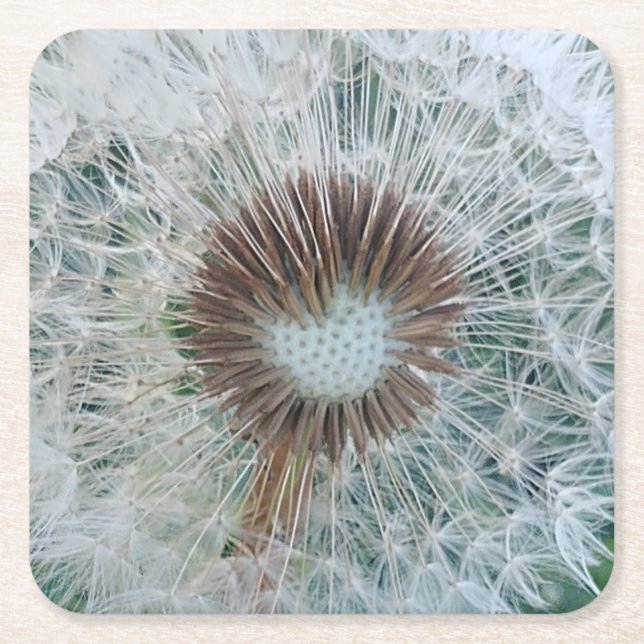 Posavasos Cuadrado De Papel Bonito Dandelion blanco (Anverso)