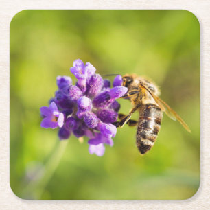 Posavasos Cuadrado De Papel Bonito juego de escoria de abeja para alimentación