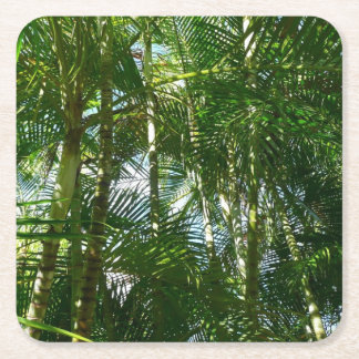 Posavasos Cuadrado De Papel Bosque de palmeras Naturaleza tropical