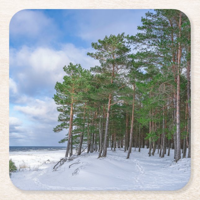 Posavasos Cuadrado De Papel Bosque de pino cerca de la costa marítima de Leton (Anverso)