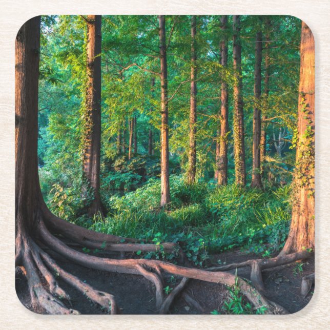 Posavasos Cuadrado De Papel Bosque en verano (Anverso)
