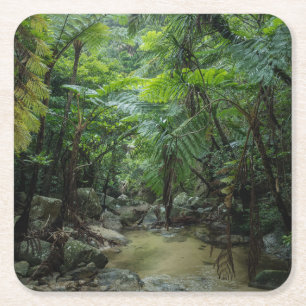 Posavasos Cuadrado De Papel Bosques   Parque nacional Iriomote Ishigaki