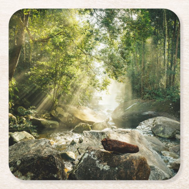 Posavasos Cuadrado De Papel Bosques | Selva tropical de selva (Anverso)