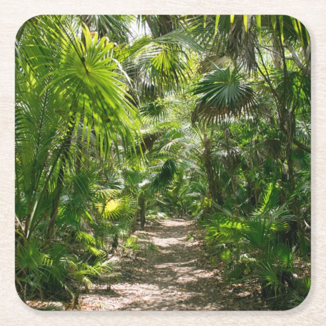 Posavasos Cuadrado De Papel Bosques | Tropical Rainforest Tulum Mexico (Anverso)