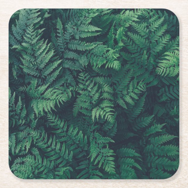 Posavasos Cuadrado De Papel Bosques | Woodland Ferns (Anverso)