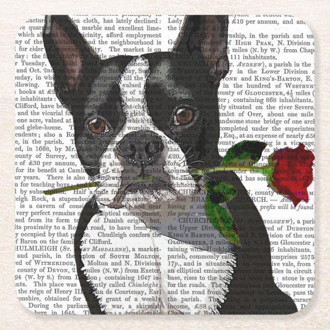 Posavasos Cuadrado De Papel Boston Terrier con Rosa en boca (Anverso)